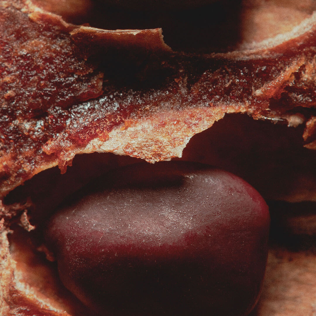 Carob & Fig Soap 125g