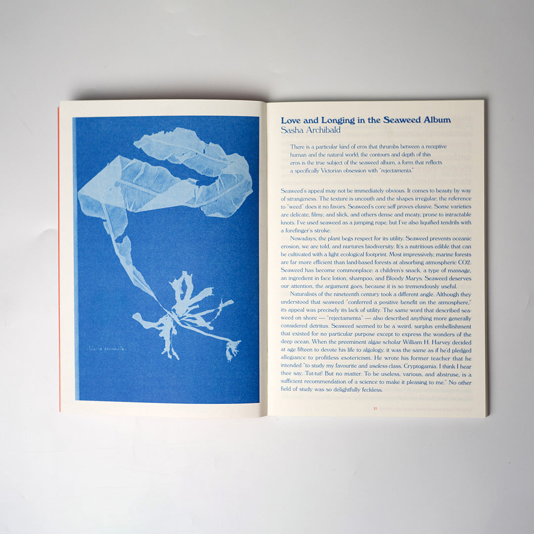 On Monsters, Coastlines and Desire