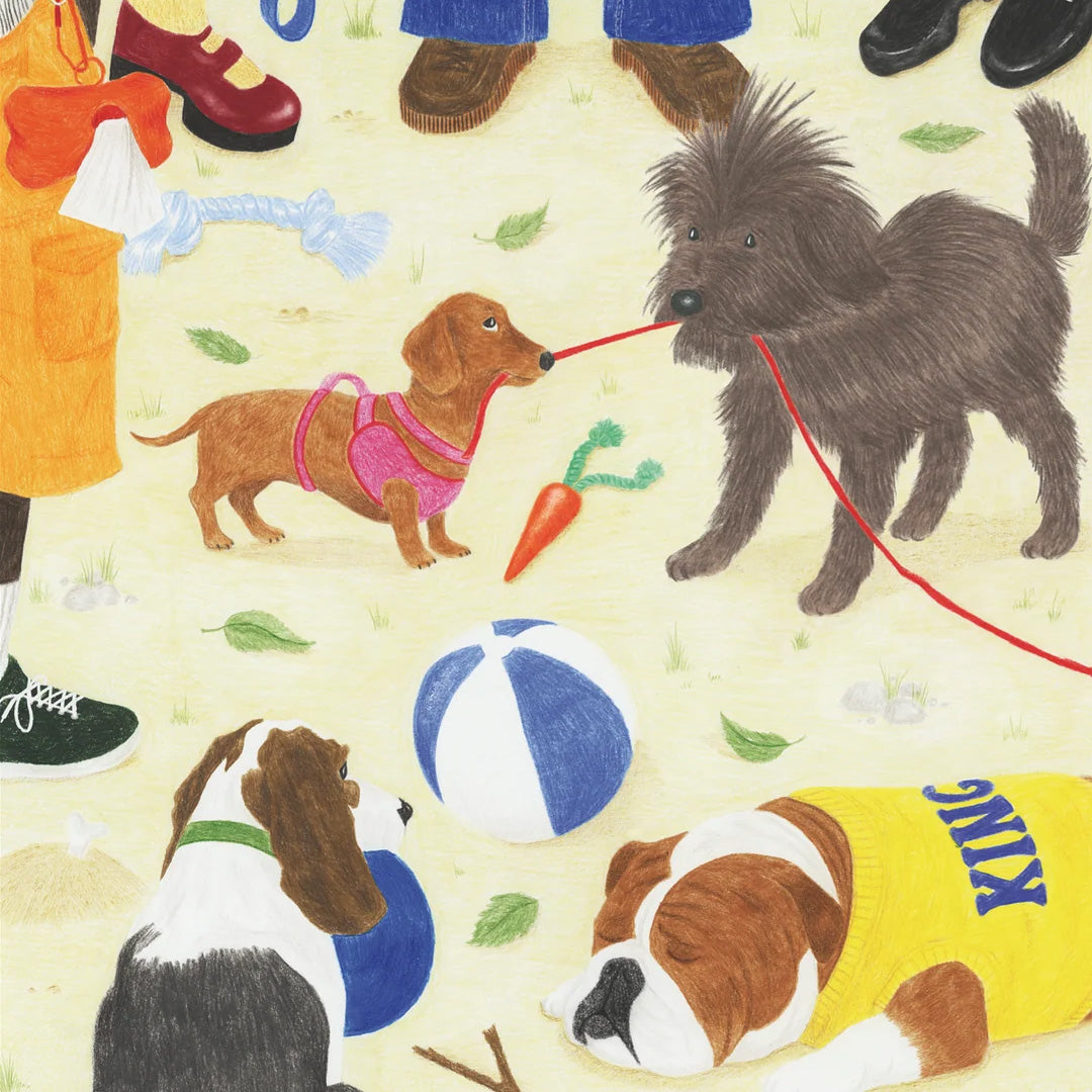 Take the Dog Out Puzzle 1000 Pcs