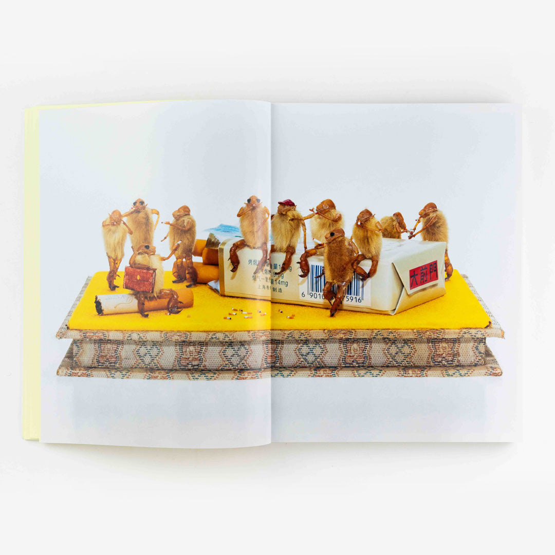 The Art of the Hairy Monkey