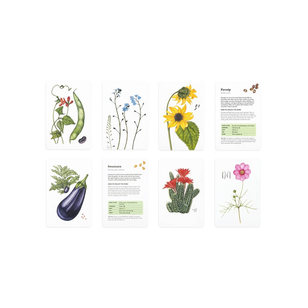 The Seed Collector’s Kit