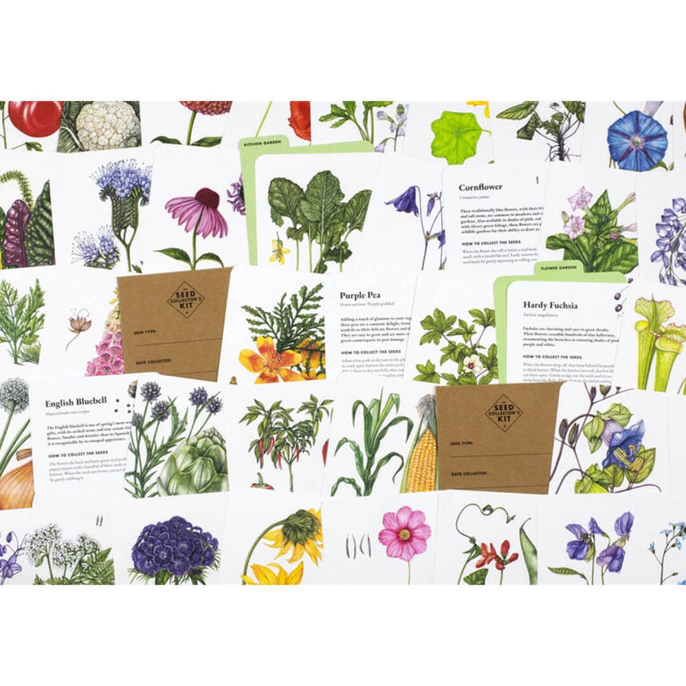 The Seed Collector’s Kit
