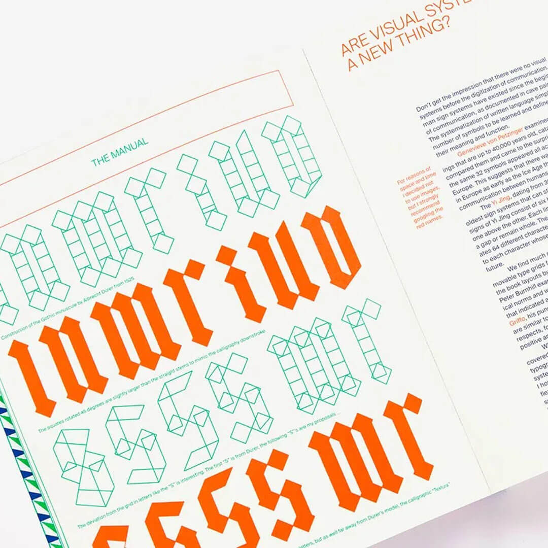 Flexible Visual Systems
