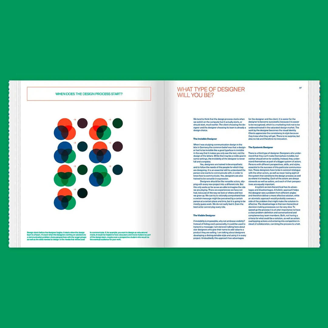 Flexible Visual Systems