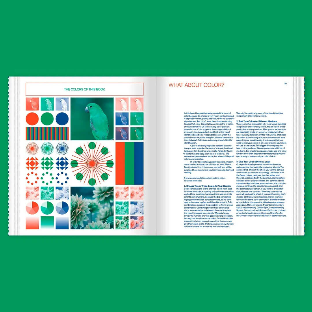 Flexible Visual Systems