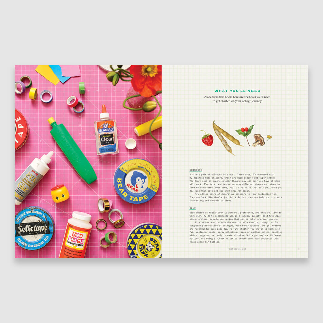 Cut-Out Curiosities: Botanica