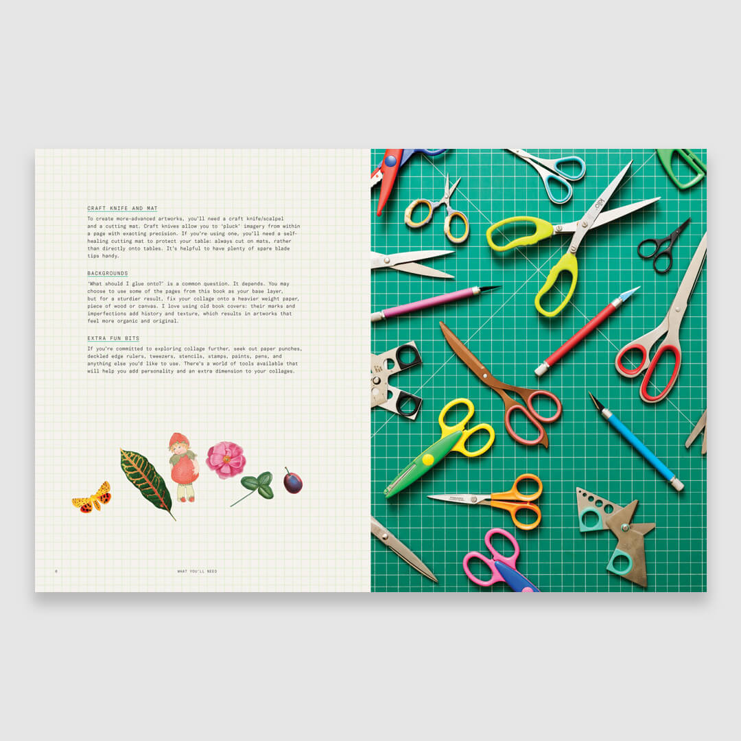Cut-Out Curiosities: Botanica