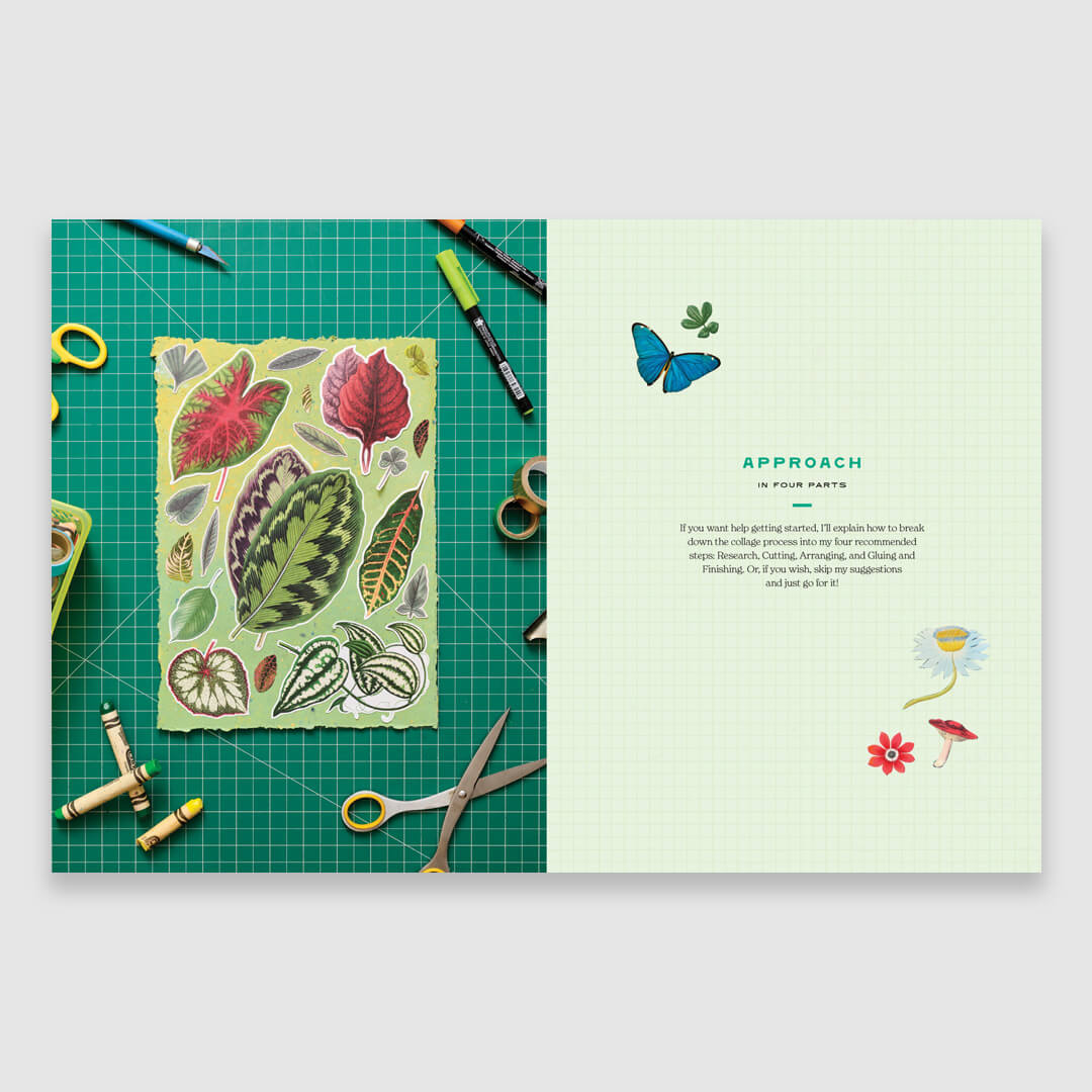 Cut-Out Curiosities: Botanica