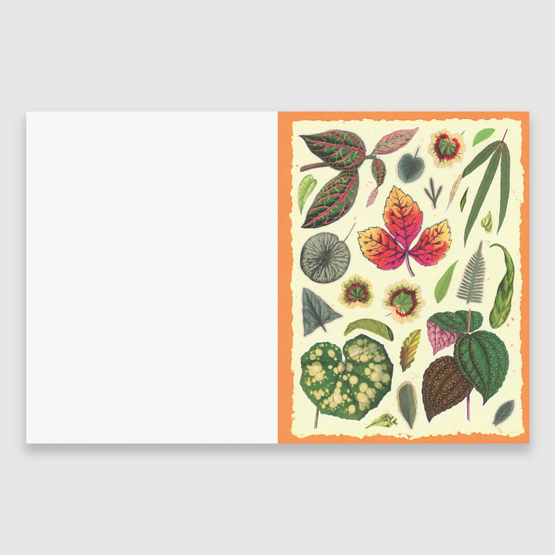 Cut-Out Curiosities: Botanica