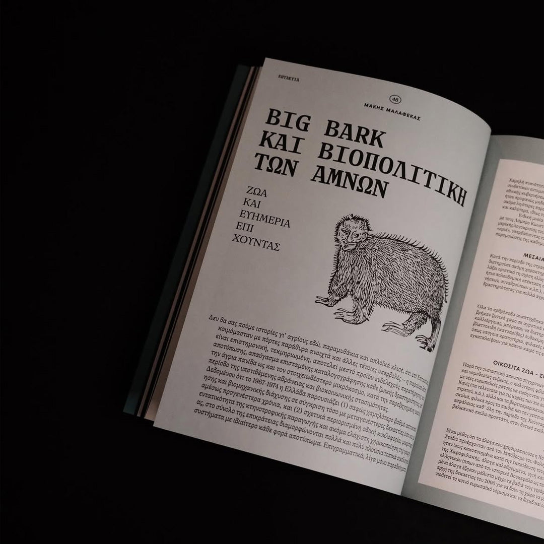 Vlavi Mag - Issue 9