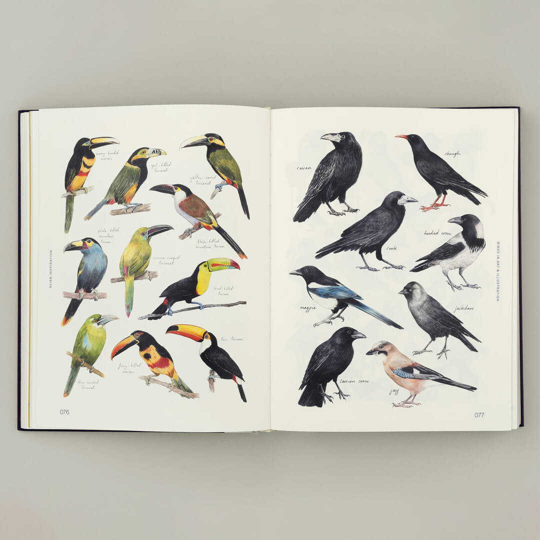 Avian Inspiration
