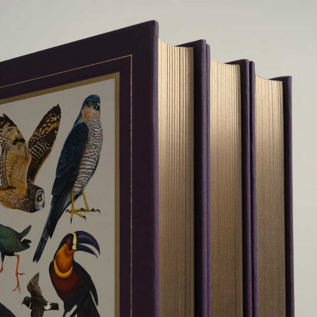 Avian Inspiration