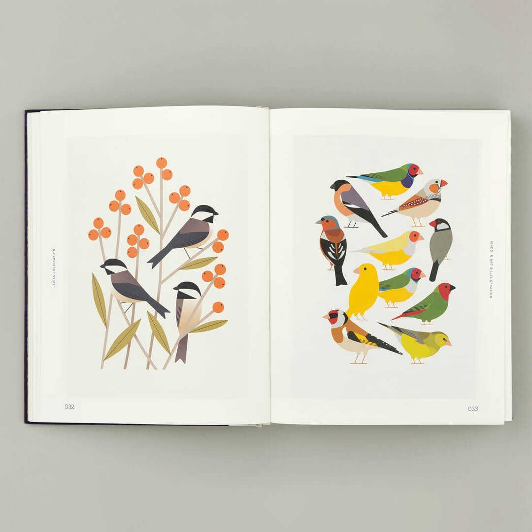 Avian Inspiration