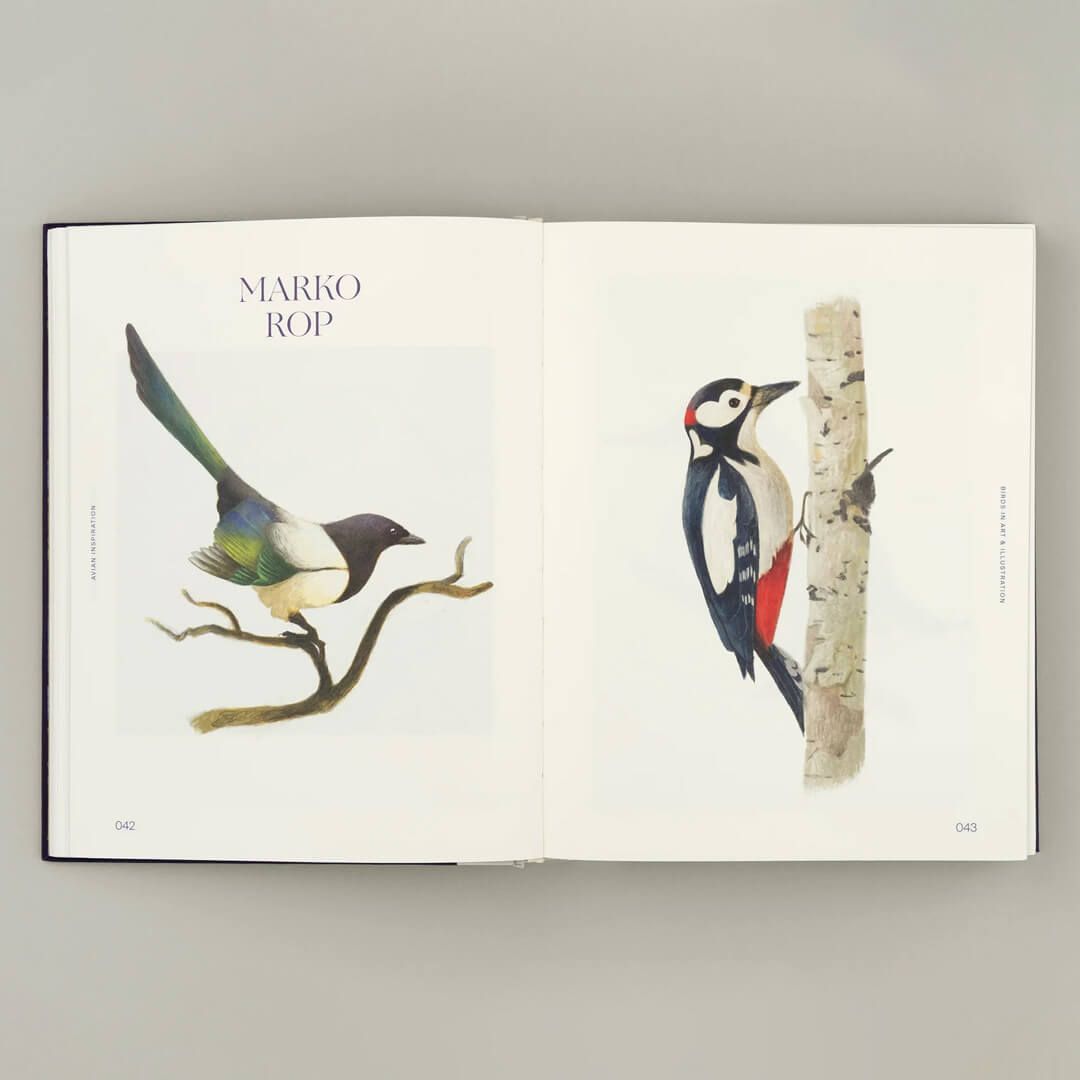 Avian Inspiration