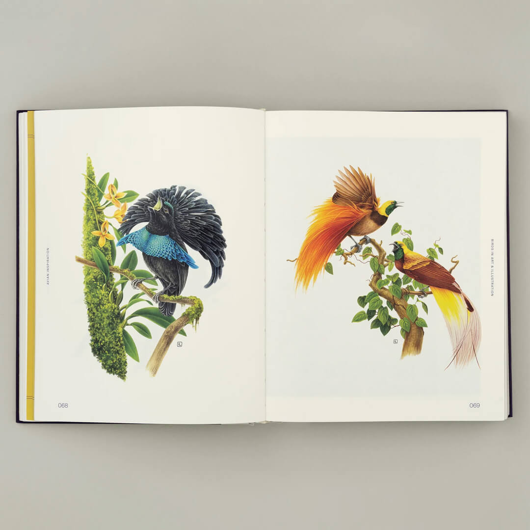 Avian Inspiration