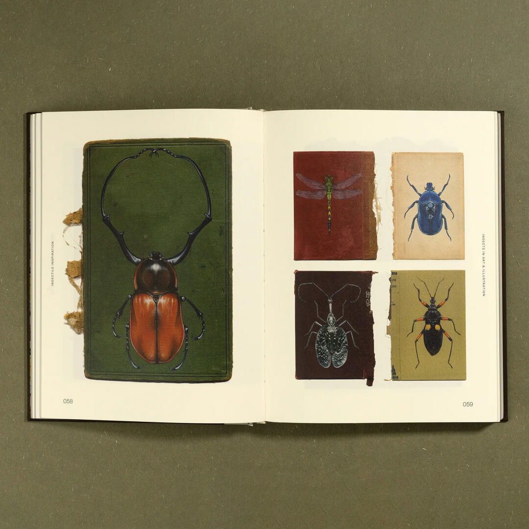 Insectile Inspiration