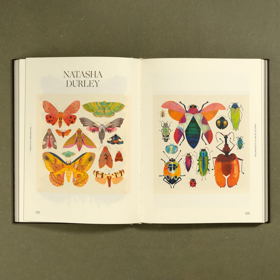 Insectile Inspiration