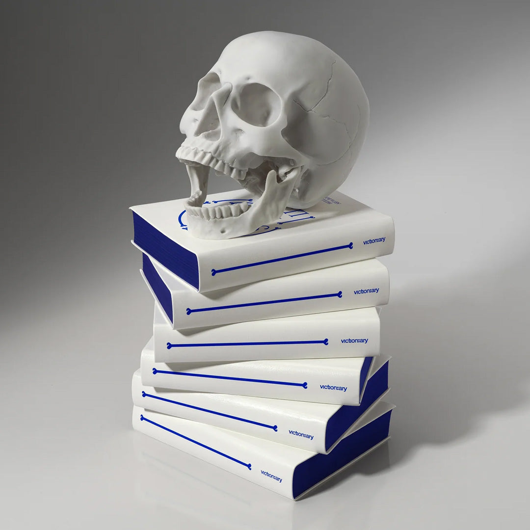 Skulls: Art in Bone