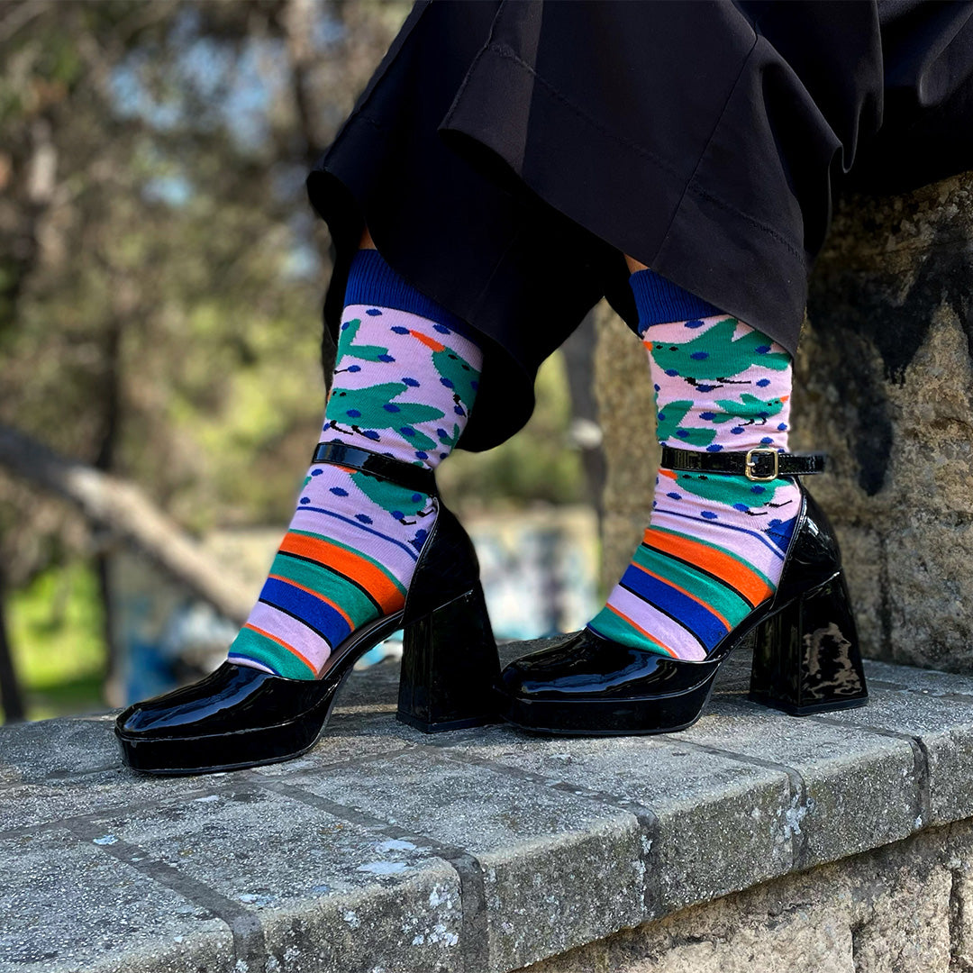 Birds Socks