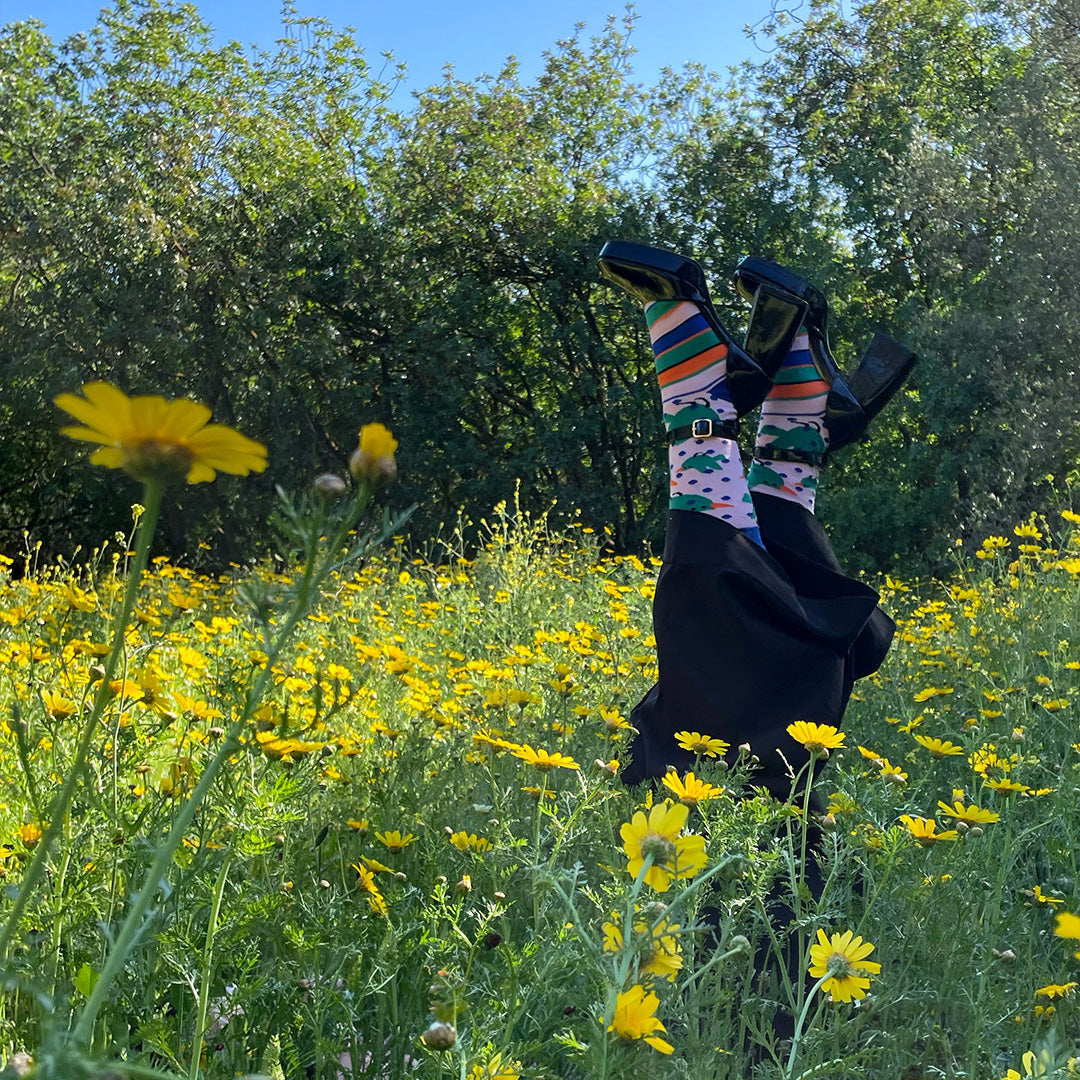 Birds Socks
